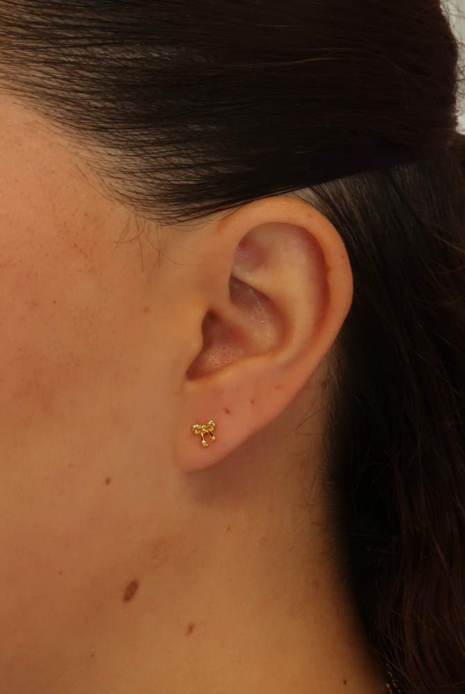 Charlotte Stud Earring - 925 Sterling Silver