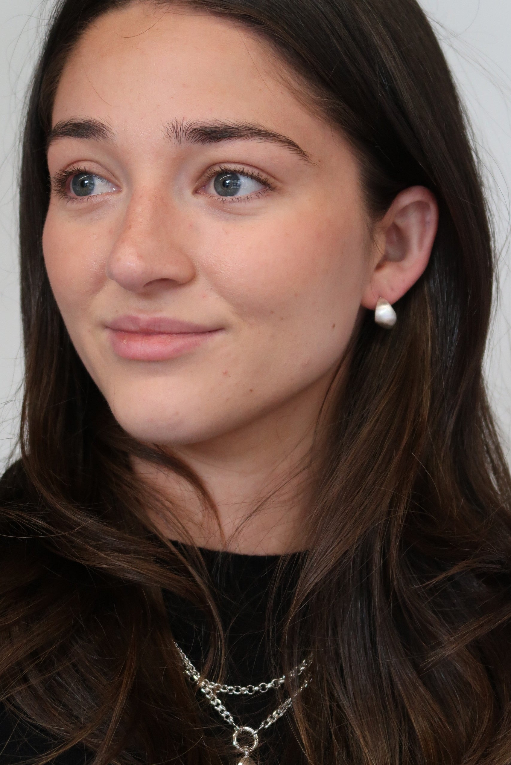 Ally Brushed Earring - Silver